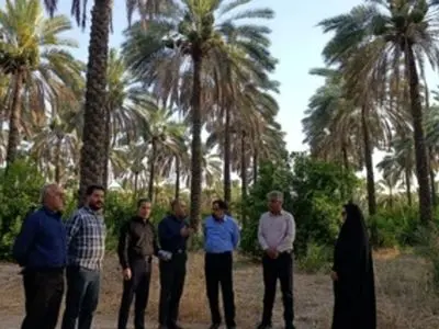 توسعه تحقیقات کشاورزی در جهرم با تمرکز بر تولید دانش فنی