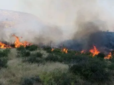 در حال بررسی میزان خسارت وارد شده به پارک جنگلی گلستان هستیم