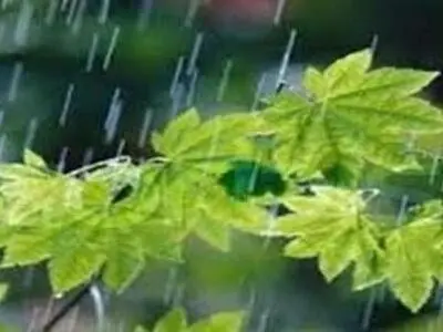 آخرین هفته خردادماه بدون بارش سپری شد