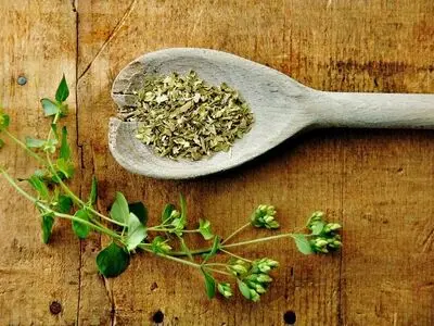 مسکن گیاهی دردهای آرتروزی
