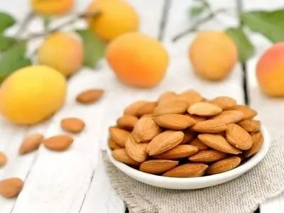 خواص حیرت‌انگیز مغز هسته زردآلو