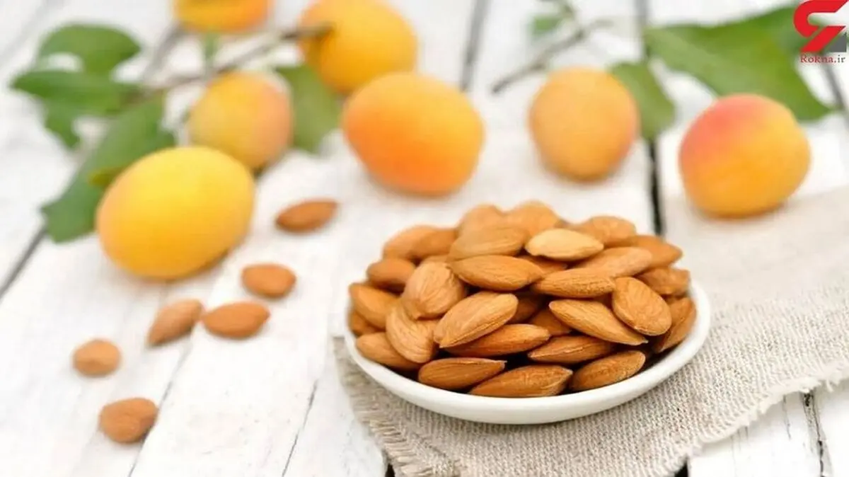خواص حیرت‌انگیز مغز هسته زردآلو