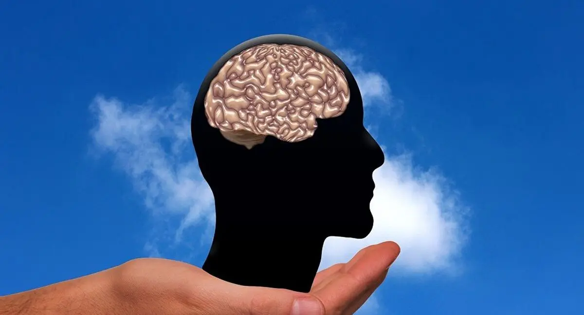 راهکاری ساده برای جلوگیری از زوال عقل