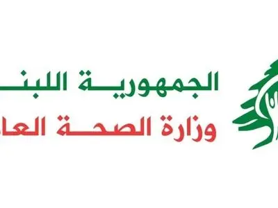 شهادت یک شهروند لبنانی در پی حمله پهپادی رژیم صهیونیستی 
