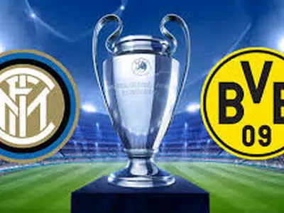 ویدئو: وقتش است که از دیوار زرد بالا برویم!