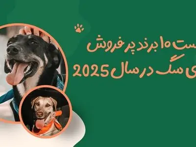 معروف ترین برندهای غذای سگ در دنیا؛ لیست 4 برند پر فروش
