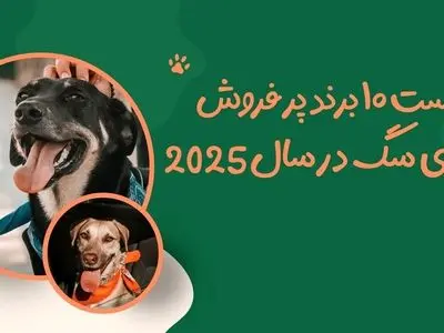 معروف ترین برندهای غذای سگ در دنیا؛ لیست 4 برند پر فروش