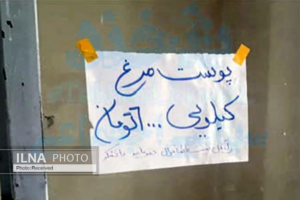 خانواده‌های کم درآمدی که از سر ناچاری «پوست مرغ» می‌خورند! 