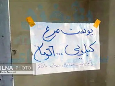 خانواده‌های کم درآمدی که از سر ناچاری «پوست مرغ» می‌خورند! 