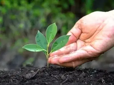 هارمونی طبیعت: کاوش در شگفتی‌های چند وجهی اسید هیومیک