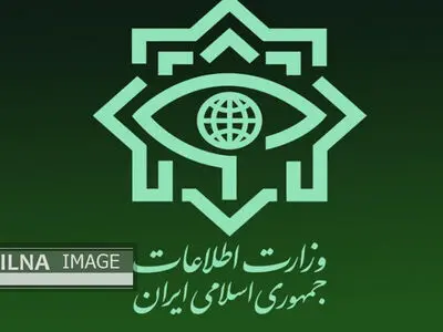 ویدئو/ کلاه گیس