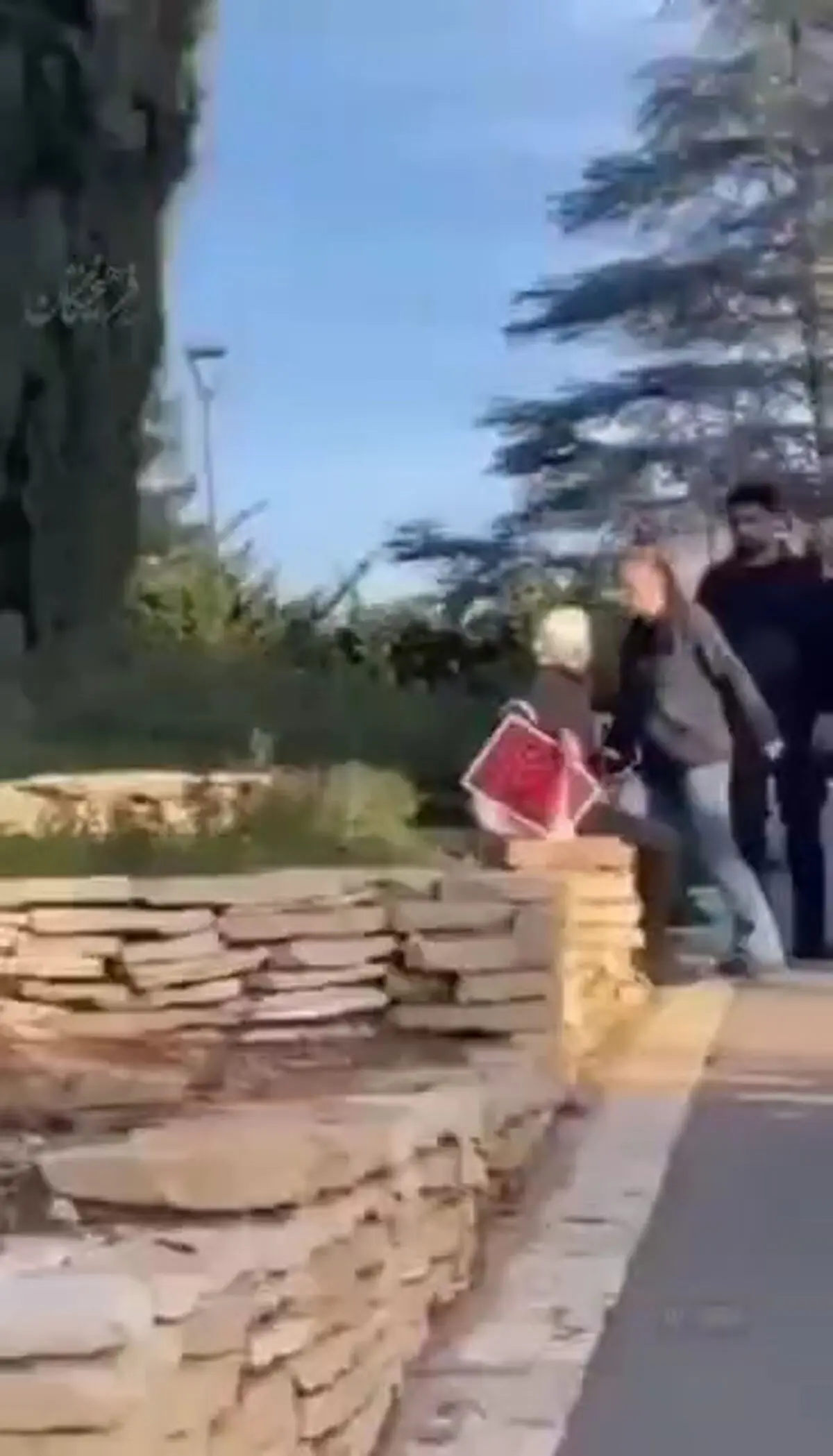 نحوه برخورد پلیس صهیونیست با پیرزن معترض! + فیلم