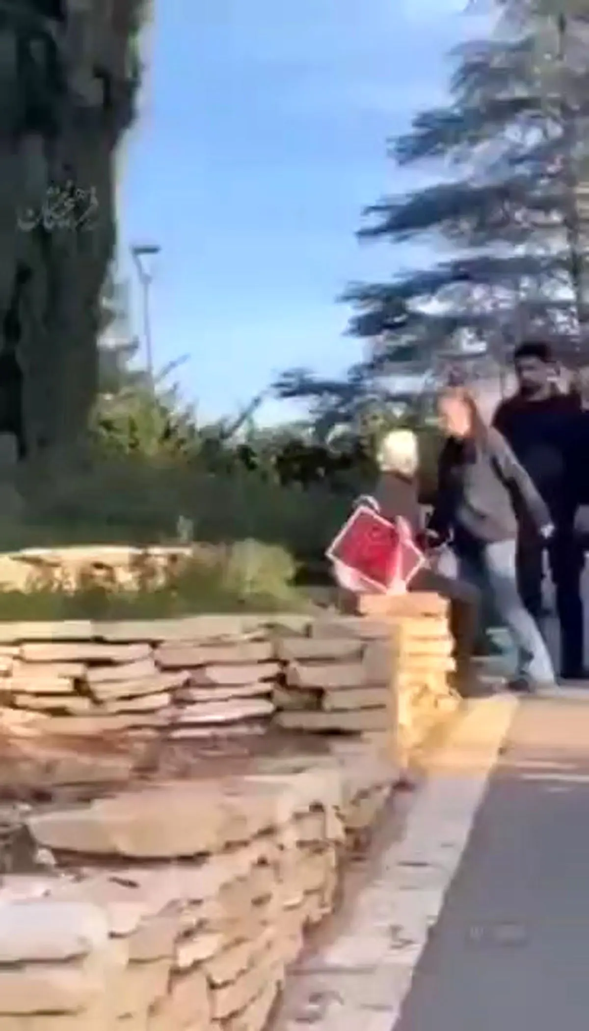 نحوه برخورد پلیس صهیونیست با پیرزن معترض! + فیلم