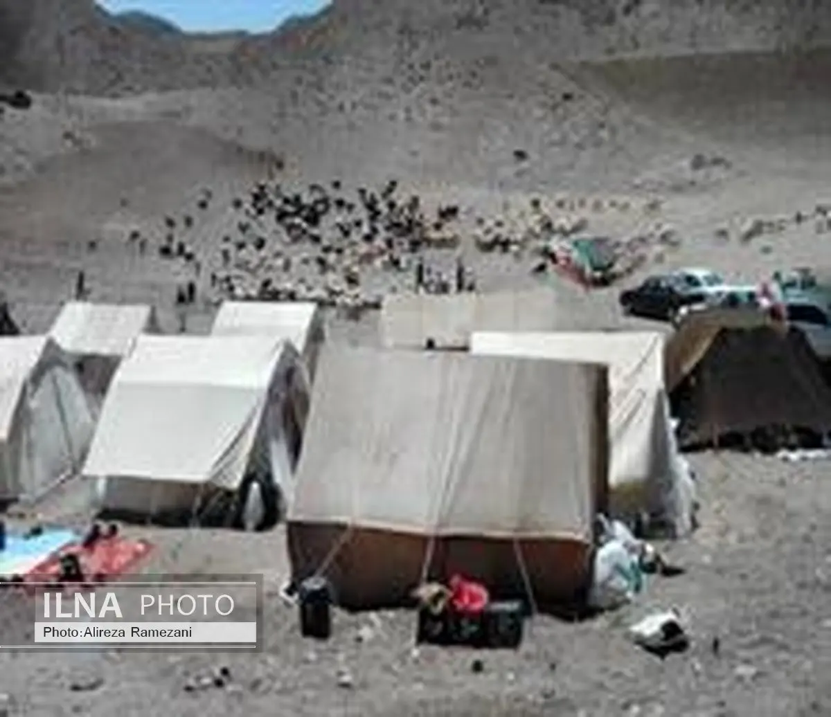 7000 هزار خانوار عشایری خراسان جنوبی تشنهاند