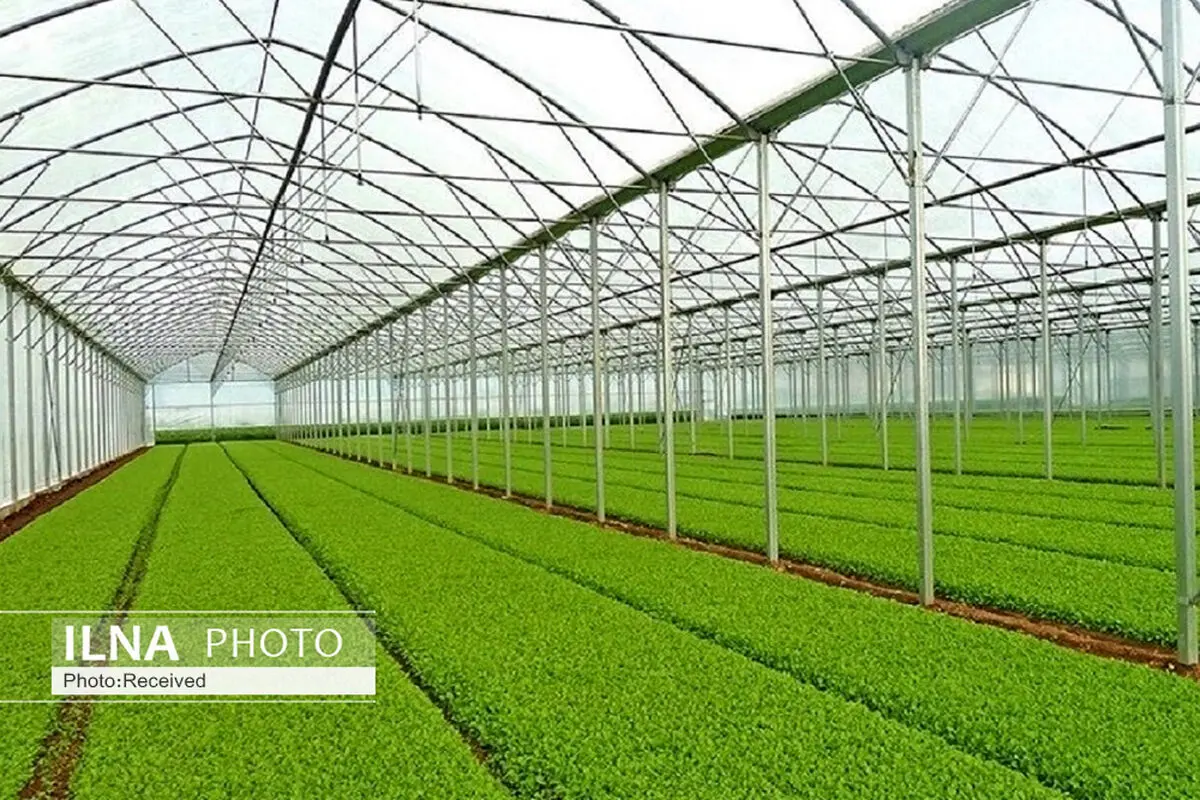 گازرسانی به شهرک گلخانه‌ای نودهک اواسط تابستان به اتمام می‌رسد