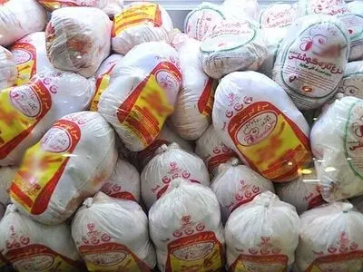 ممنوعیت توزیع مرغ منجمد در آذربایجان غربی