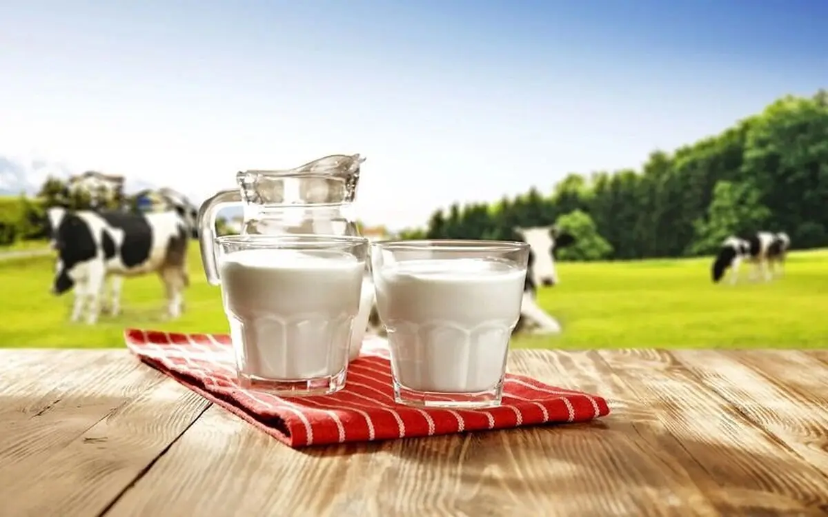 شیر گاو یا شیر گیاهی؛ کدام برای سلامت استخوان موثرتر است؟