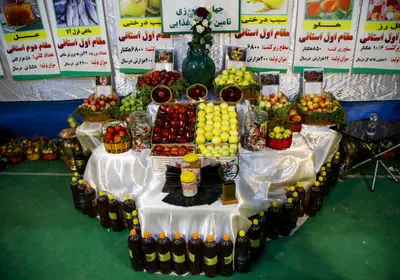 توسعه صنایع تبدیلی، شاه‌کلید تحول اقتصادی در سپیدان است