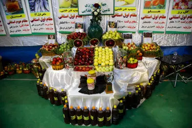 توسعه صنایع تبدیلی، شاه‌کلید تحول اقتصادی در سپیدان است