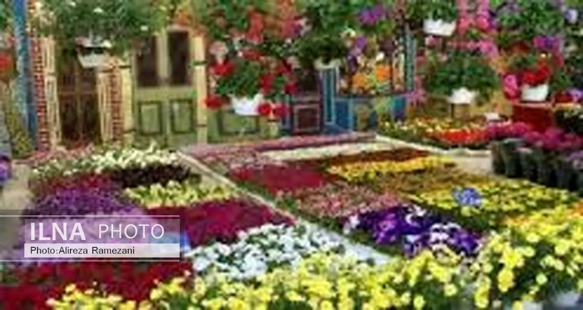 ساخت گلخانه‌های مدرن و مکانیزه تنها راه تولید گل وگیاه رقابت پذیر و صادراتی در کشور 