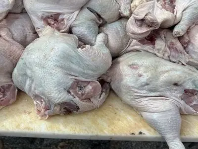 کشف و ضبط بیش از ۱۰ تن گوشت مرغ غیربهداشتی و پلمپ واحد متخلف در آذربایجان شرقی