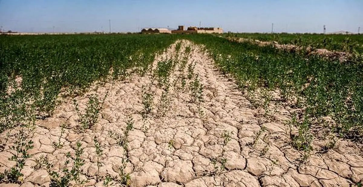 افزایش بارندگی در گلستان خشکسالی را جبران نمی‌کند