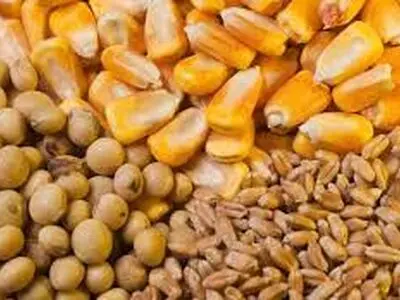 کنترل کیفی نهاده‌های دام و طیور و محموله‌ فرآورده‌های پروتئینی براساس استانداردها

