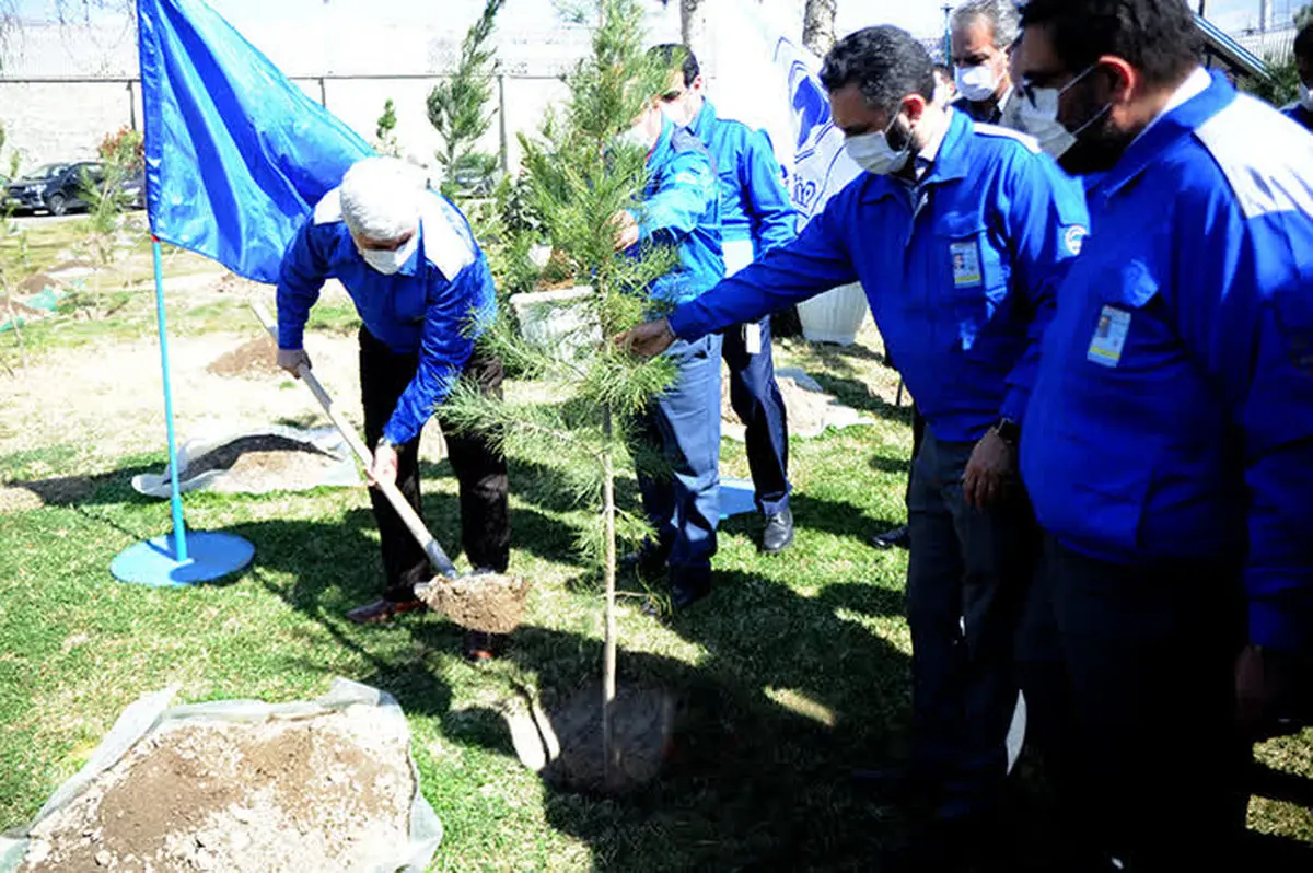 کاشت ۶۰۰ اصله نهال در شرکت ایران خودرو