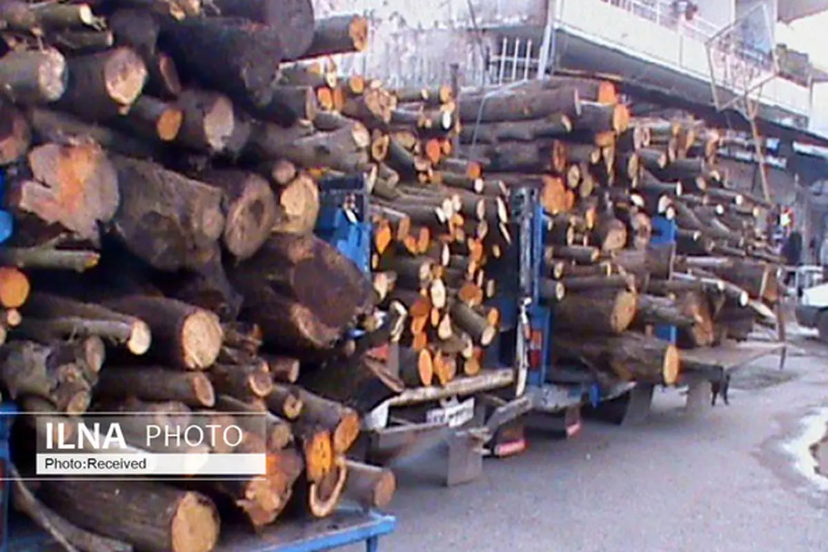 توقیف کامیون حامل 10 تن چوب آلات قاچاق جنگلی در اردبیل