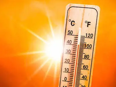 یخچال خیابانی برای مقابله با گرمازدگی/ عکس