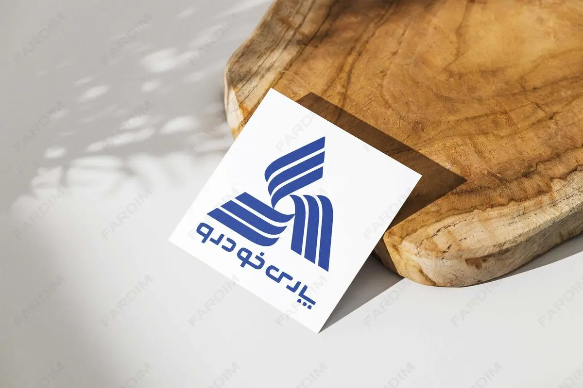 از واردات ROEWE تا ساخت زیرساخت شارژ