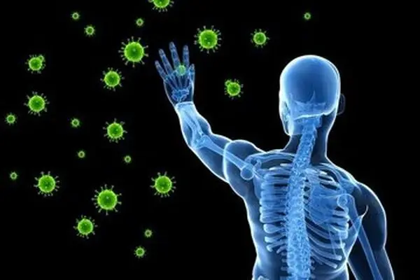 بدن قوی می‌خواهید؟ این خوراکی‌ها را مصرف کنید