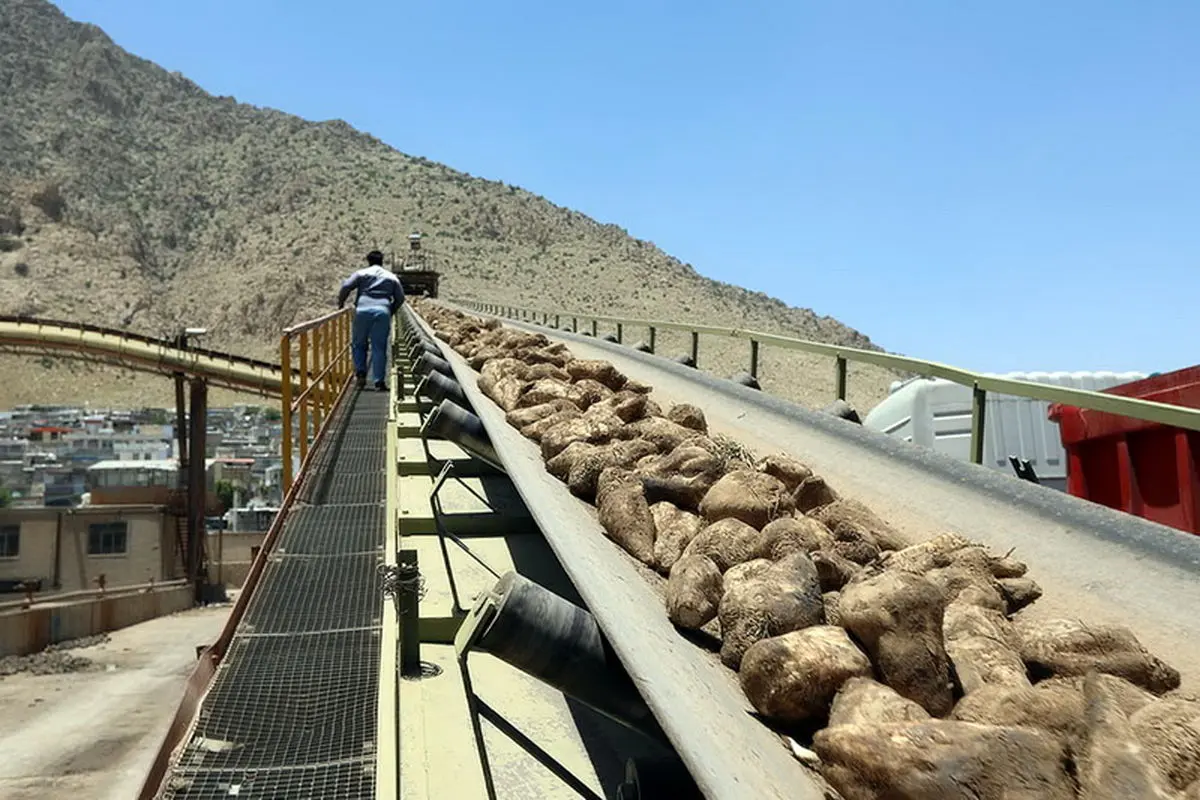 ورود به مشکلات کارخانه‌قند بیستون تا پرداخت مطالبات ۲۱۰ نفر از کارگران شرکت استراتوس