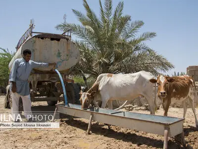 بی آبی ؛ غیزانیه