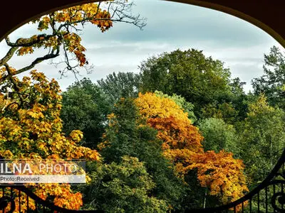 پاییز طلایی