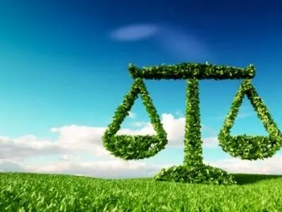 برای 243 پرونده جرائم زیست‌محیطی استان مرکزی رأی صادر شد