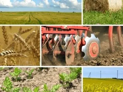 پرداخت ۳۳ میلیارد تومان به طرح‌های کشاورزی خراسان جنوبی