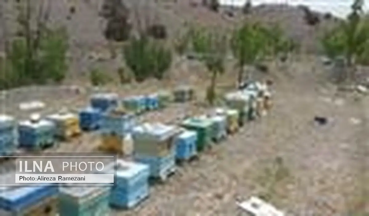 بیش از یک میلیارد ریال برای داروی های زنبورعسل هزینه شد