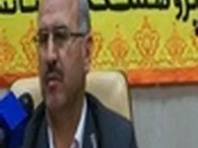 سالیانه بیش از ۳ هزار تن اسانس نعنا فلفلی در جهان تولید می شود