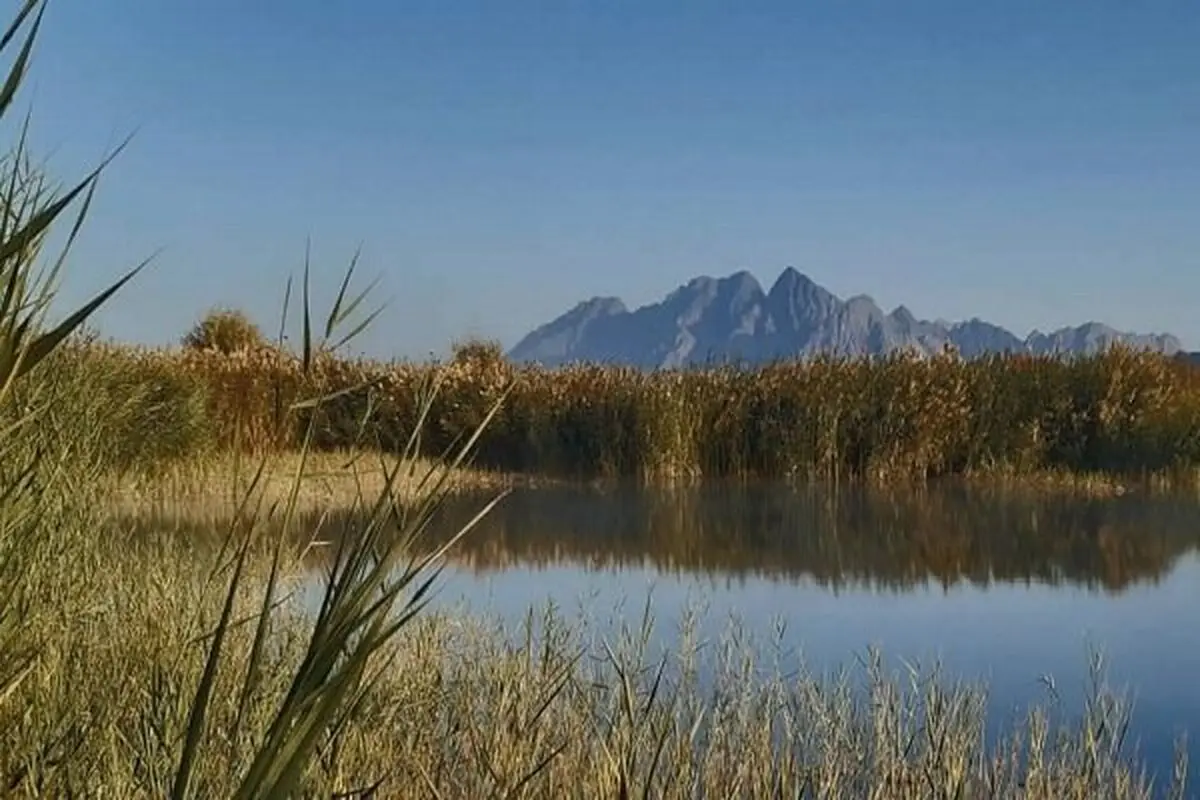 کنفرانس بین‌المللی «محیط زیست تالاب‌های بین‌المللی هامون» برگزار می‌شود