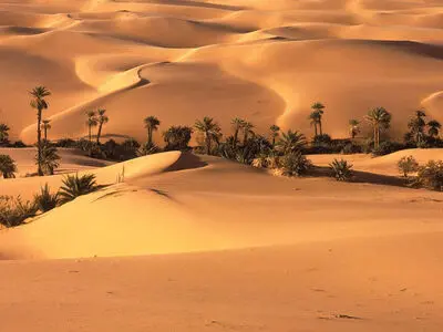 دولت دانش بومی منابع مدیریت آب را دنبال کند/ چگونه قنات‌ها در گذشته کویر تشنه دشت لوت را سیراب نگاه می‌داشتند