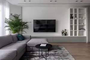 ۷ دکوری ممنوعه که نباید کنار تلویزیون بچینید