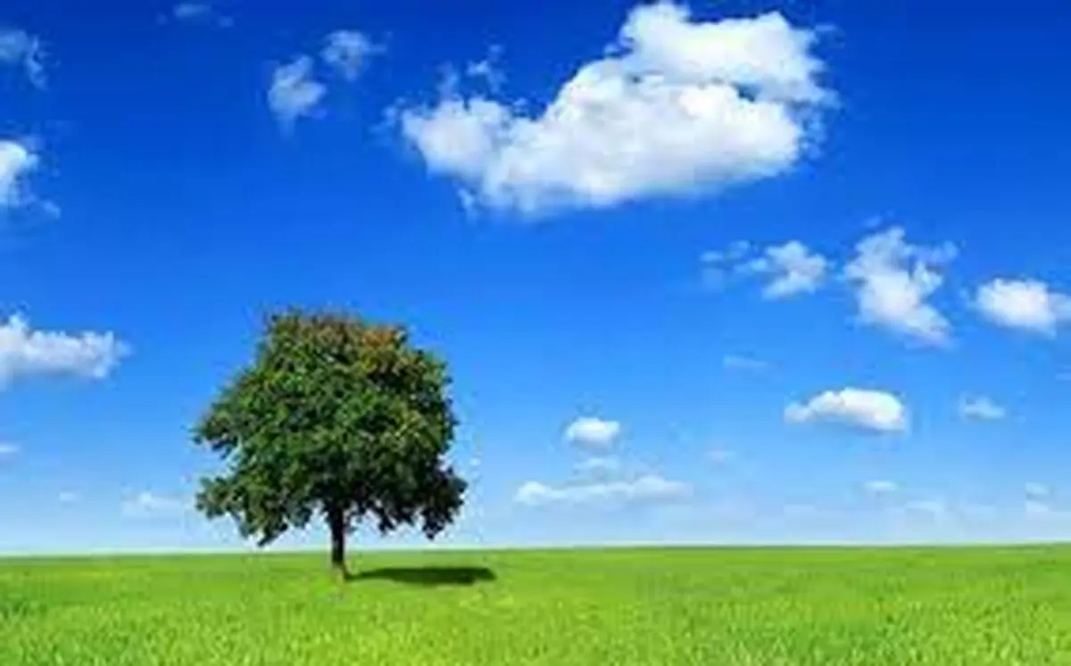 تجلیل از 12 دانش‌آموز برتر جشنواره نقاشی هوای پاک در ایلام