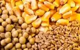 کشف 200 میلیاردی نهاده های دامی خارجی قاچاق در محور اردبیل-خلخال