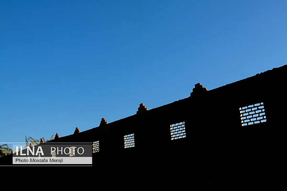 هنرمندان قمی این روزها با قلم‌شان در میدان هستند + فیلم