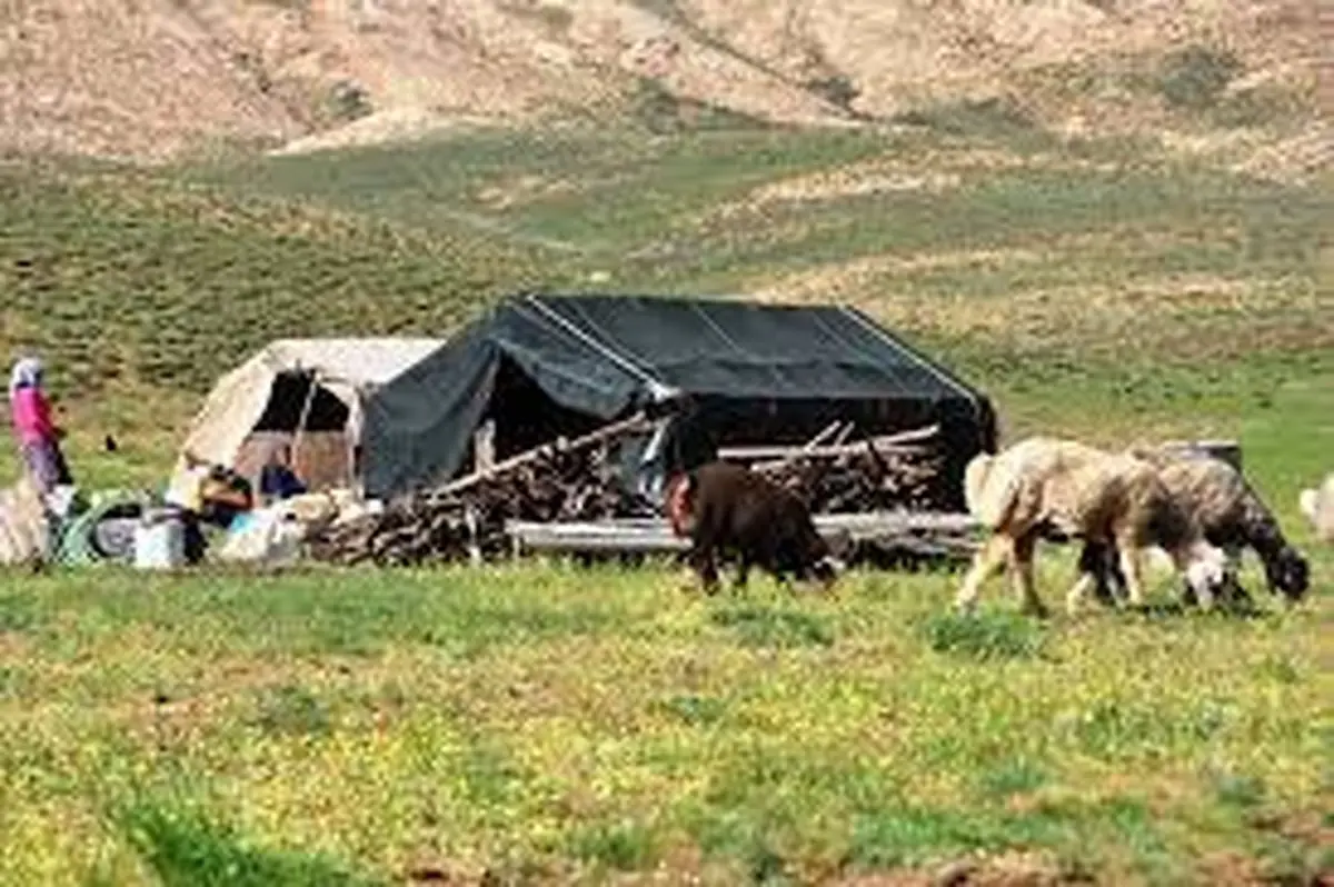 عشایر کوهدشت در ۵۵ منطقه عشایری سکونت دارند