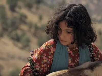 «میان صخره‌ها» از ۱۸ مردادماه روی پرده می‌رود