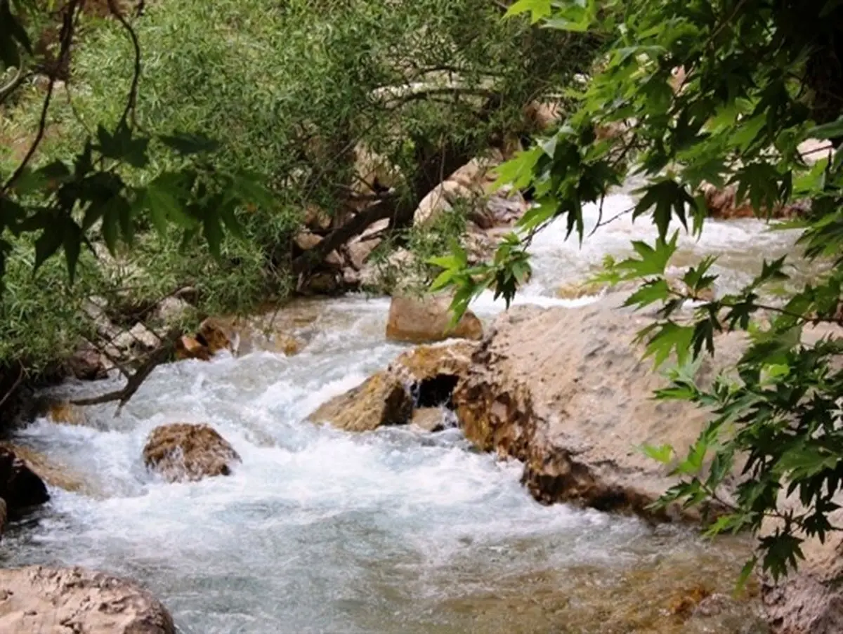 بازداشت برخی از کشاورزان و باغداران روستای مهریان یاسوج/ یک عضو شورا در بیمارستان بستری شد 