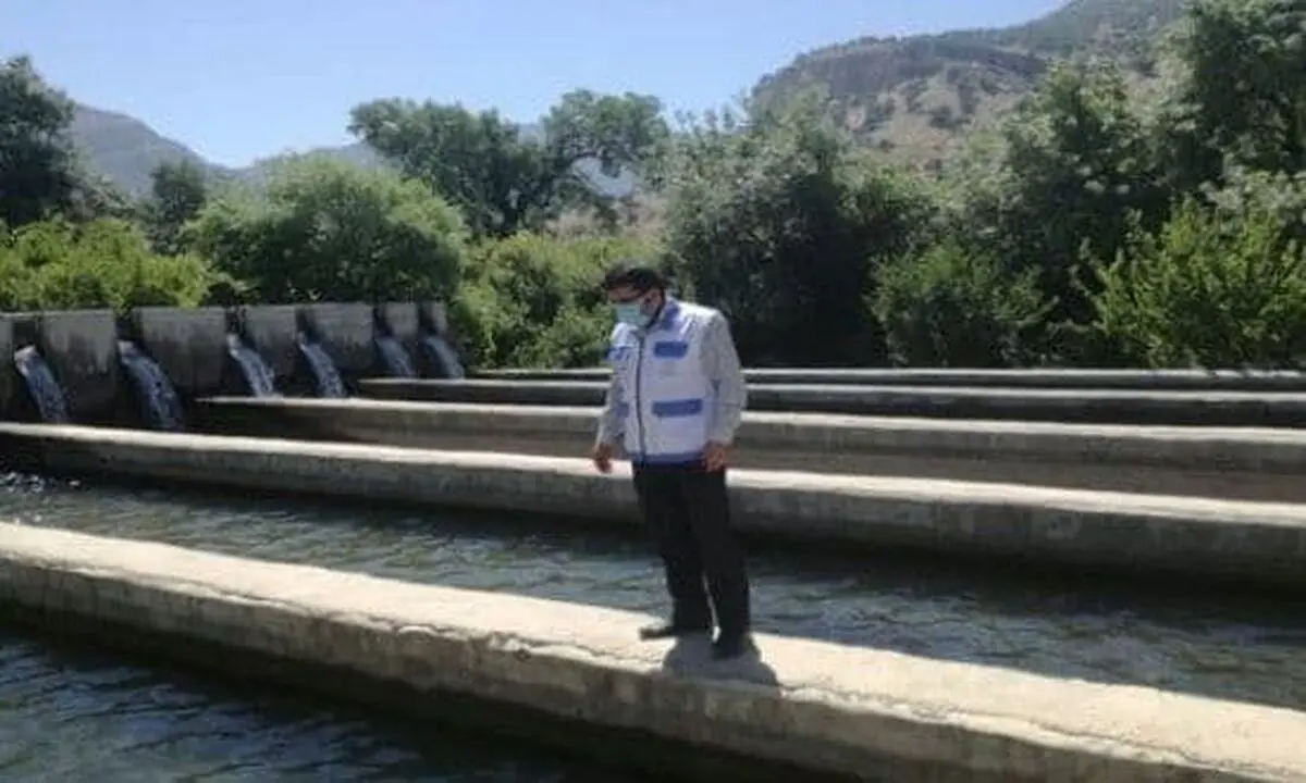 اجرای فاز دوم برنامه ملی مراقبت بیماری های ویروسی در مزارع ماهیان سردآبی خوزستان
