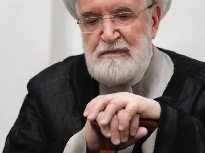 دیدار جمعی از فعالان سیاسی و سید حسن خمینی با مهدی کروبی